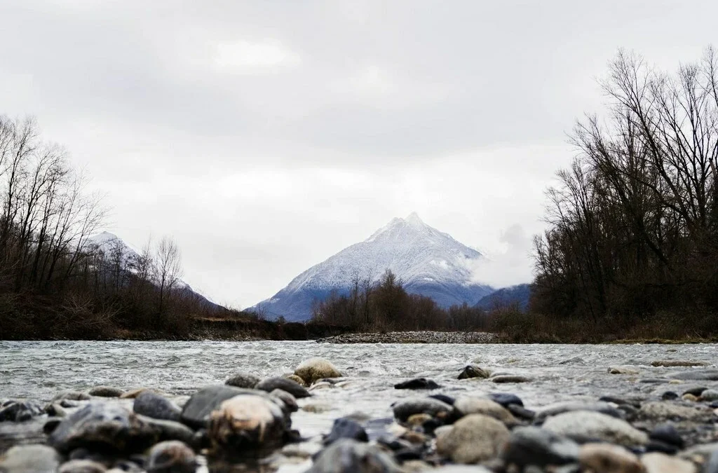 La Truite des Pyrénées