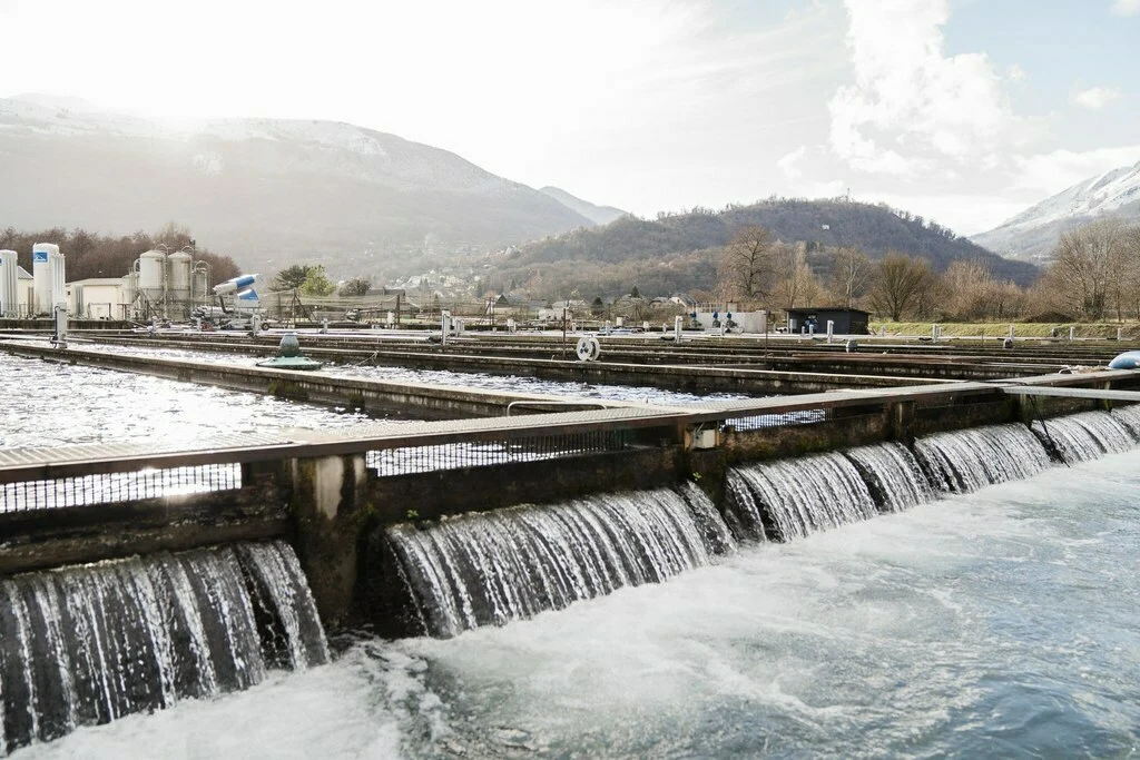 Étang de La Truite des Pyrénées